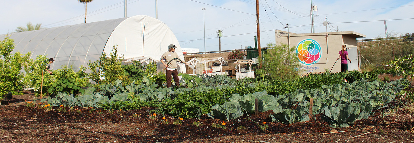 St. Vincent de Paul's Urban Farm