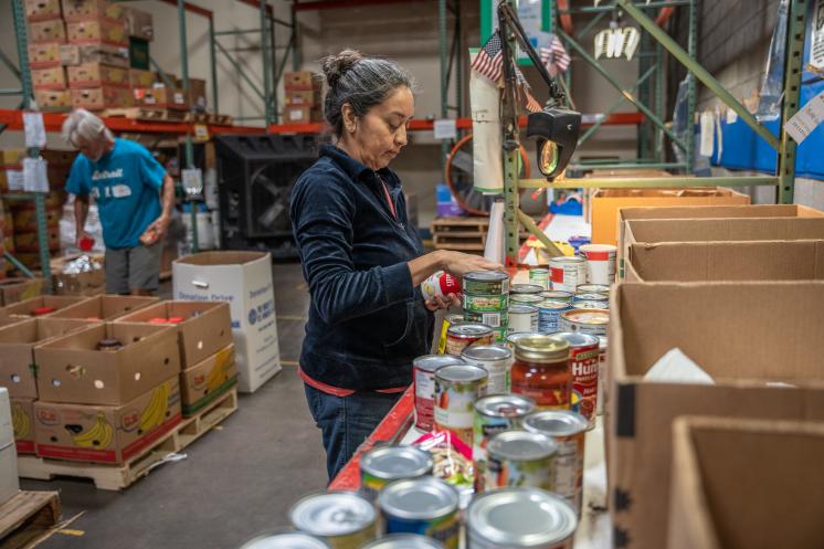 Woman sorting cans into boxes