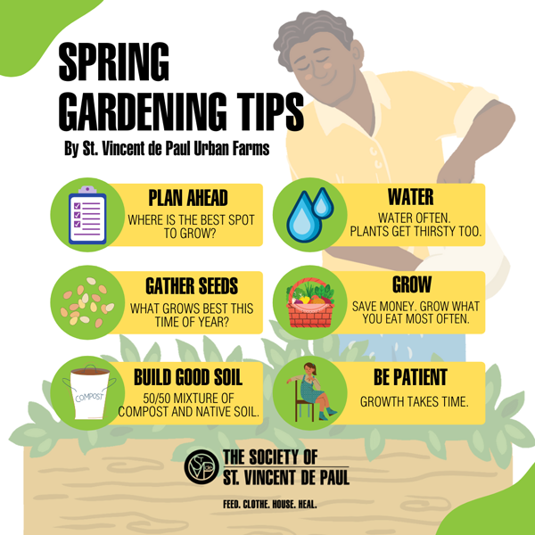 Gardening Tips During The Rainy Days – The Urban Gardening Shop