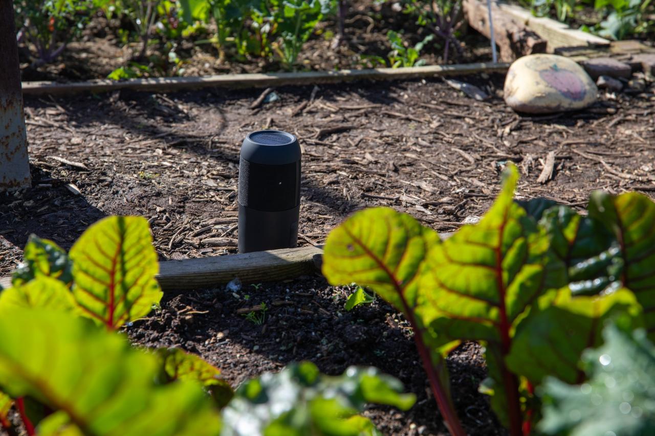 Small black Bluetooth speaker sits among plant beds playing music
