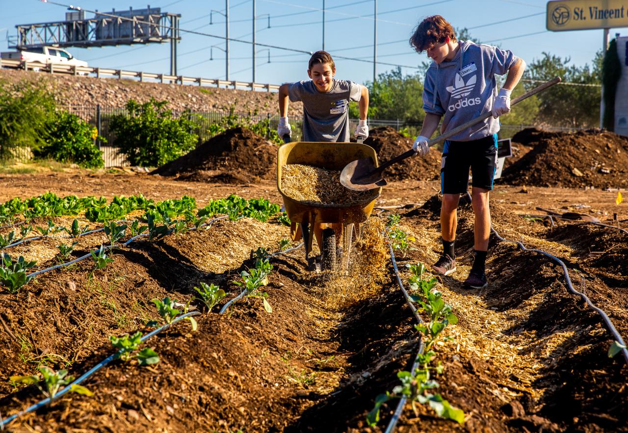 teens volunteering at the farm