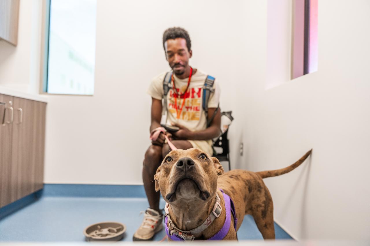 Duchess looking at camera